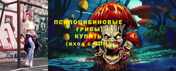 индика Нязепетровск