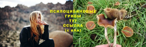 дживик Алзамай