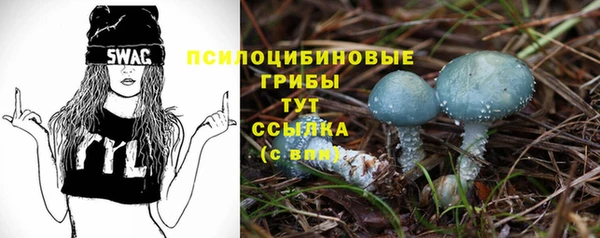 экстази Алексин